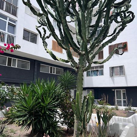 Relax Apartamento 3 ラスパルマス・デ・グランカナリア エクステリア 写真